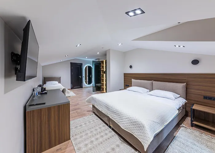 Elena 酒店 布克维