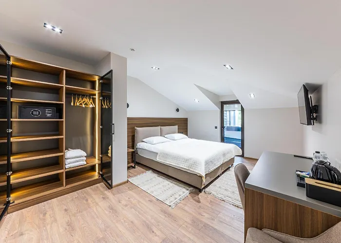 酒店 Elena 布克维